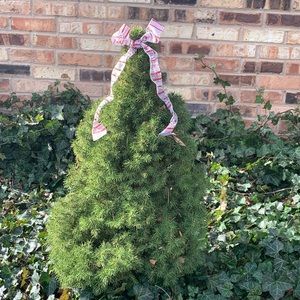 Meet your Posher, Mary ann